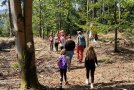 Gruppe von hinten, die der Pilzmarkierung durch den Wald folgen