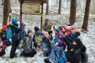 Försterin erzählt Märchen zum Douglasienzapfen, viele Kinder halten einen Zapfen in die Höhe