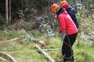 zwei Schüler ziehen einen Baumstamm an der Kette aus dem Wald