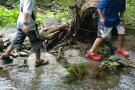 Kinderbeine in Wasserschuhen laufen im Fluß Loquitz
