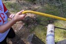 Kinderhände sägen eine Scheibe von einem Birkenstamm ab