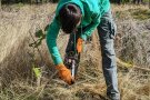 Junge bückt sich um einen kleinen Baum zu pflanzen