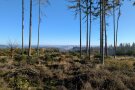 Kahlfläche im Frankenwald