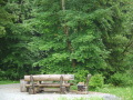 Holzbank im Wald