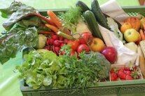 Salat, Tomaten, Äpfel, Erdbeeren, Petersilie und weiteres Gemüse in einer Kiste 