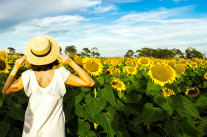 Frau mit Sonnenhut steht vor Sonnenblumenfeld